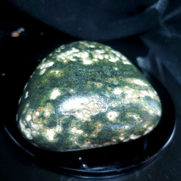 Jade Palm Stone B