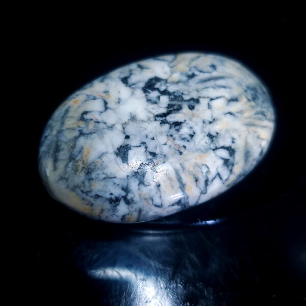 Pinolite Palm stone H