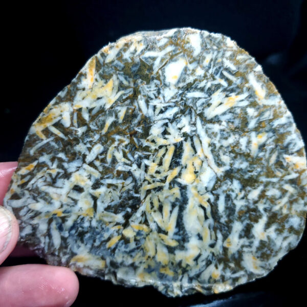 Pinolite slab J