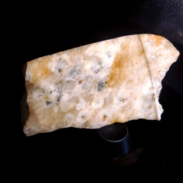 Mutton Fat Jade sillimanite - F