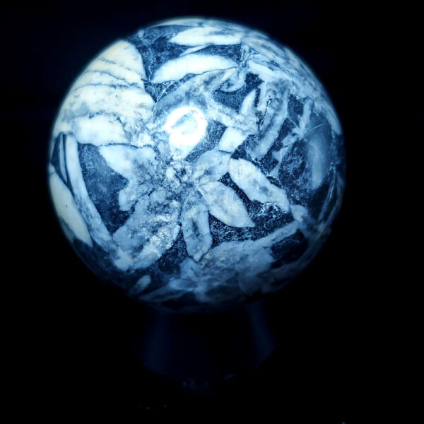 Pinolite Sphere H