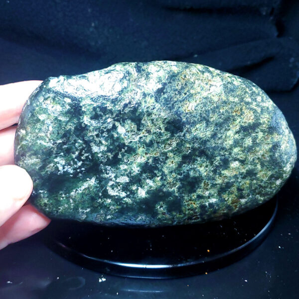 Jade Palm Stone M