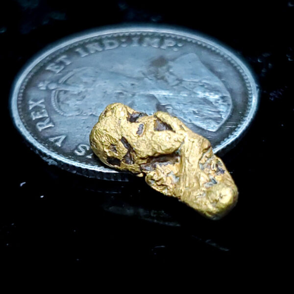 Fraser River Gold Nugget .6g