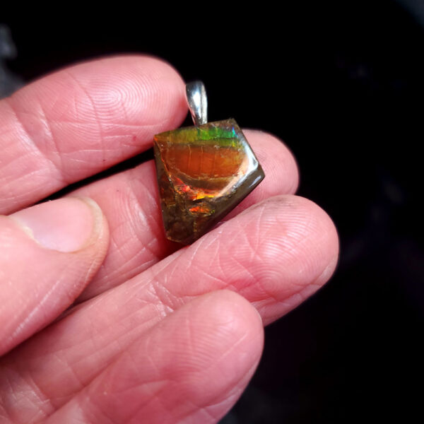 Ammolite Pendant P