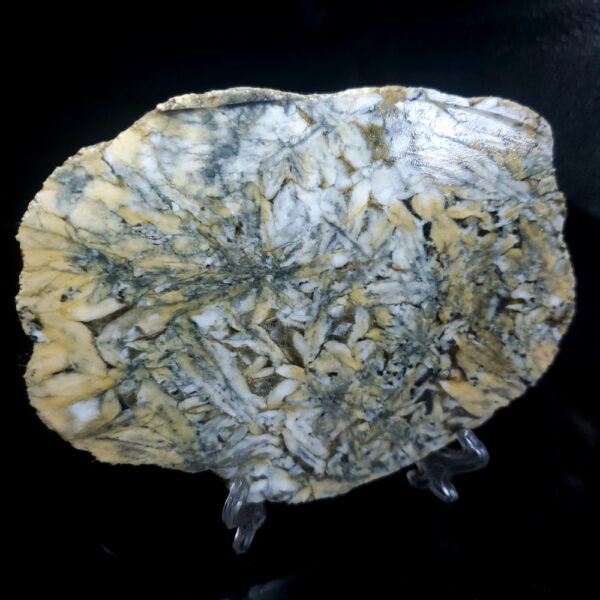 Pinolite slab I