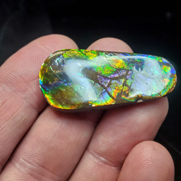 Ammolite Specimen - Small D