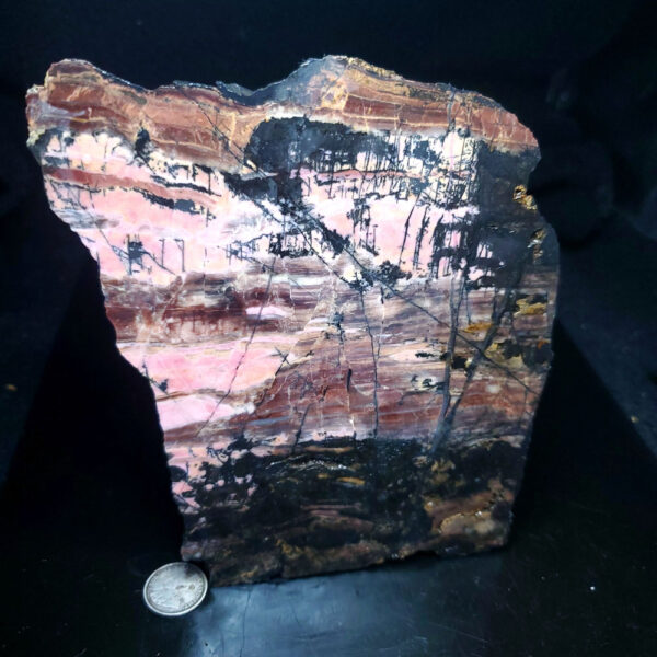 Rhodonite Specimen S