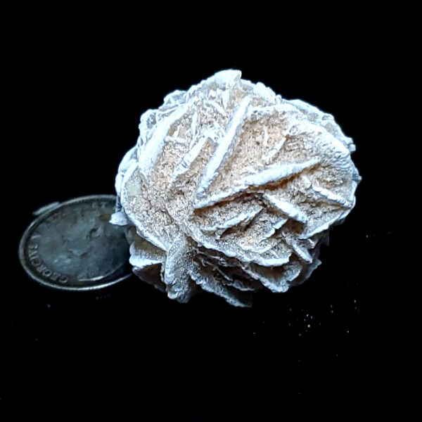 Desert Rose 10g