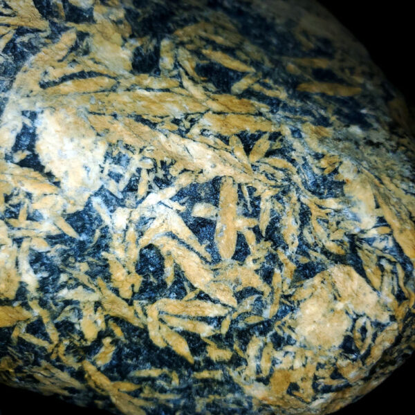 Pinolite - Specimen D - Image 2