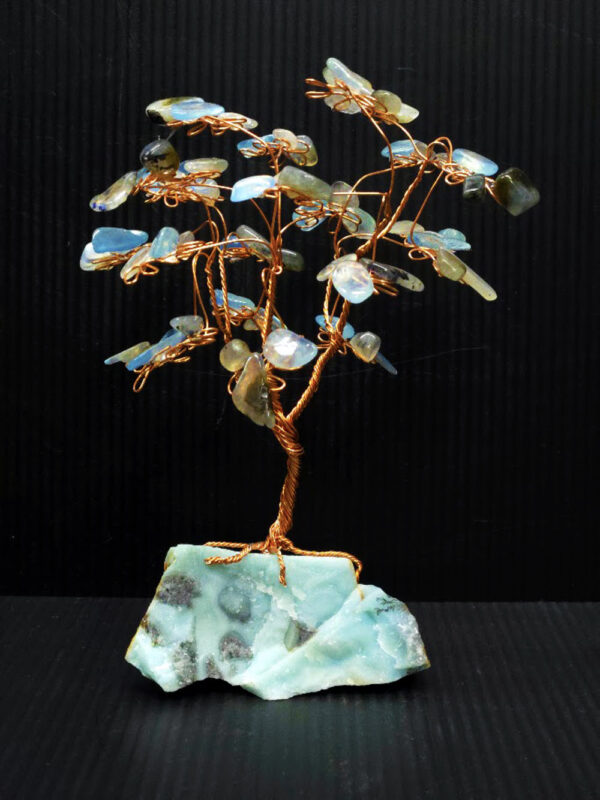 Ocean Picture Stone Tree DH55