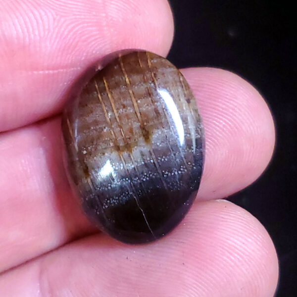 Petrified wood cabochon