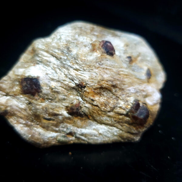 Garnet Specimen L