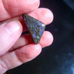 Ammolite Specimen - Small D