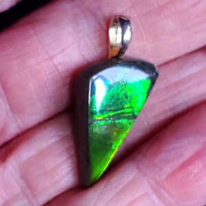 Ammolite Pendant Z