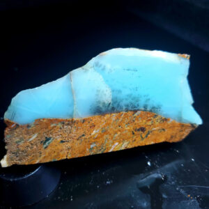 Dayna Blue Specimen L