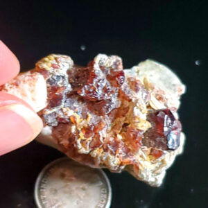 Garnet Specimen M