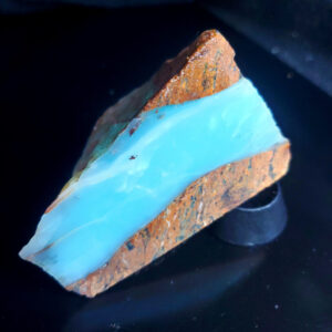 Dayna Blue Specimen K