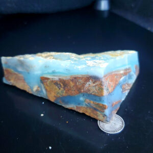 Dayna Blue Specimen T