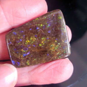 Ammolite Specimen