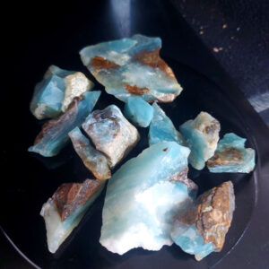 Dayna Blue Chip Lot D