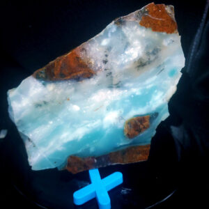 Dayna Blue Large Specimen B