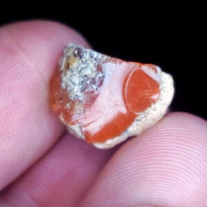 Precious opal specimen K