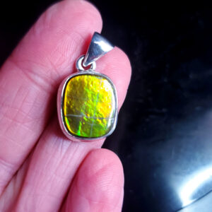 Ammolite Pendant Q