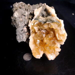 Fort Drum Display specimen A