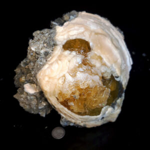 Fort Drum Display specimen B