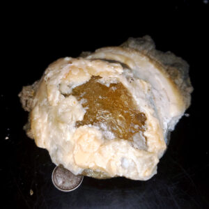 Fort Drum Display specimen F