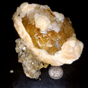 Fort Drum Display specimen G