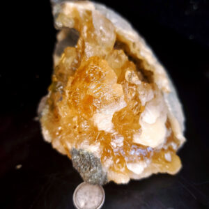 Fort Drum Display specimen H