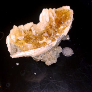 Fort Drum Display specimen L