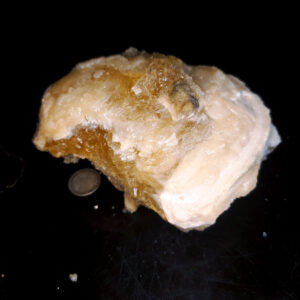 Fort Drum Display specimen M