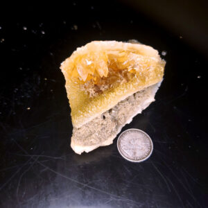 Fort Drum Display specimen O