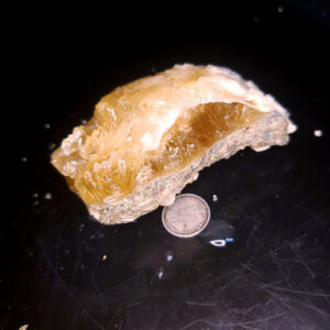 Fort Drum Display specimen S