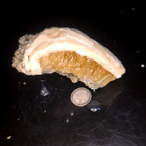 Fort Drum Display specimen T