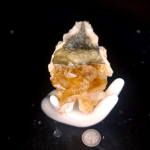 Fort Drum Display specimen U