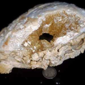 Fort Drum Display specimen X