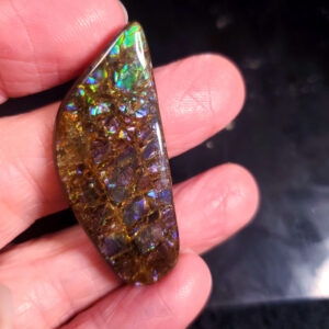 Ammolite Specimen - Small J