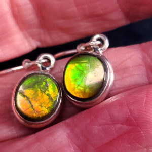 Ammolite Earring Set C