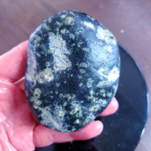Jade Palm Stone M