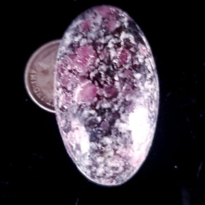 Garnet in host cabochon F