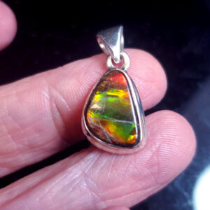 Ammolite Pendant T