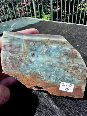 OPS from video specimen D