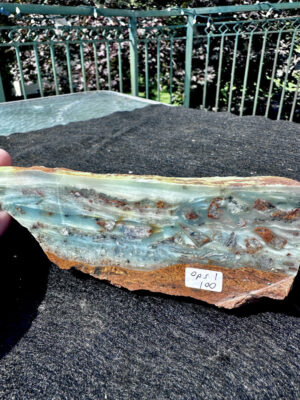 OPS from video specimen I