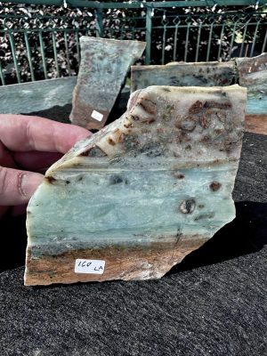 OPS from video large specimen A