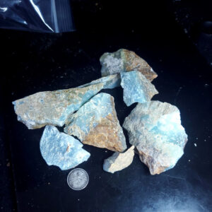 Dayna Blue Chip Lot A