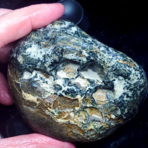 Dallasite palm stone F