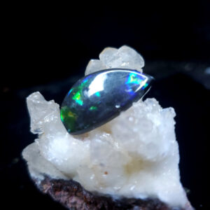 Ammolite Specimen - Small L